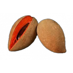 Zapote x 500gr