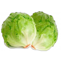 Lechuga Batavia x 500gr