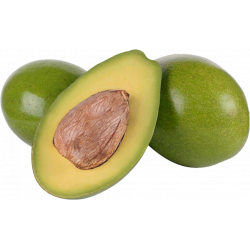 Aguacate x Und