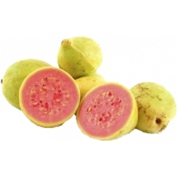 Guayaba Pera x 500gr