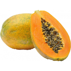 Papaya x Und (Aprox. 2KL)