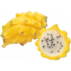 Pitahaya x 500gr