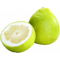 Pomelo x Und (1kl)