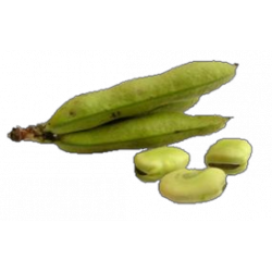 Habas x 500gr
